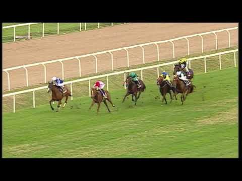 rm 20191103 01 p ribotmemloretoluciani