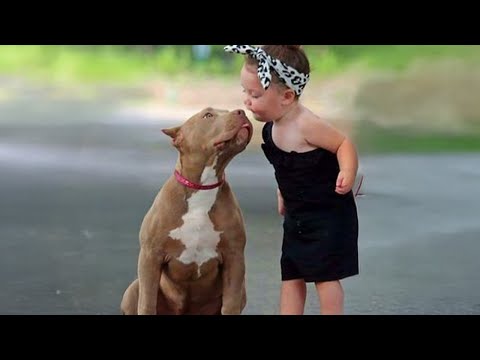 Le bébé le plus drôle et le pittie font tout ensemble ! ❤️
