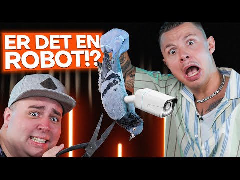 Finder Guldborg skjult kamera i DØD due?!