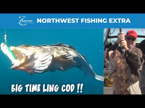 Monster Ling Cod in Tofino - and Coho Too! - Extended Cut