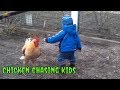 Chickens Chasing Kids And Dogs Funny Vines 2019