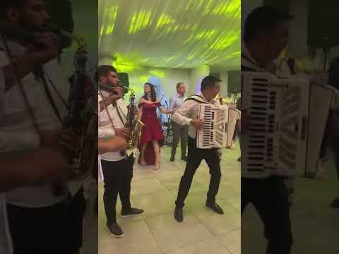 Taraful Paul Stanga si Marcela Fota live nunta