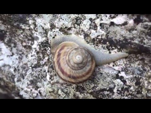 Pico Norte | Cerro de la Silla