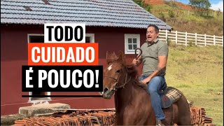 COMO NOSSAS ÉGUAS REAGIRAM DEPOIS DE TANTO TEMPO SEM MONTAR? 