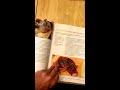 The Food Lab Book Review