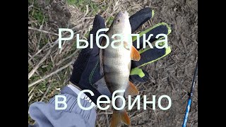 Платная рыбалка в николаевской области 2020