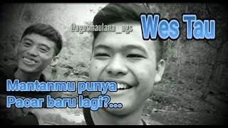 Download lagu WES TAU || MANTAN DJANCUK || CERITA PENDEK || STORY WHATSAPP || STORY WA mp3