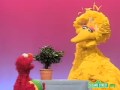 Sesame Street Elmo Sports