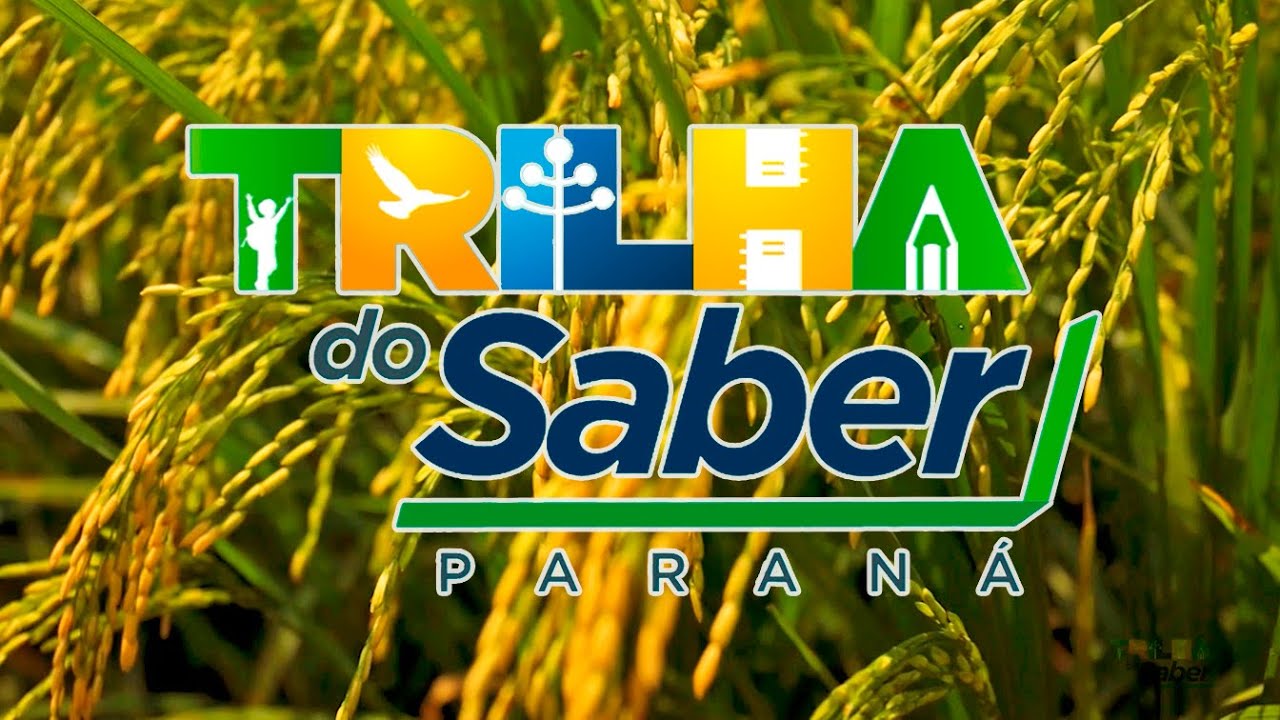 Programa Trilha do Saber #33