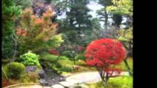 koto song - Dave Brubeck quartet.wmv