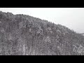 Aerial Drone View Above Mountain Winter Forest FREE STOCK VIDEO