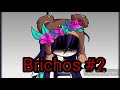 Brichos 2