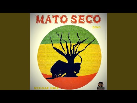 Visão Moderna - Mato Seco