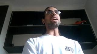 Masterplan - Falling Sparrow (by @leme_)