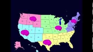 The Decade of the Brain (1990-1999)