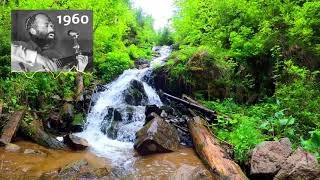 Shlomo Carlebach Kevakorat [1960] שלמה קרליבך כבקרת (הזמר והיוצר בנימין שטיינברג) - התמונה מוצגת ישירות מתוך אתר האינטרנט יוטיוב. זכויות היוצרים בתמונה שייכות ליוצרה. קישור קרדיט למקור התוכן נמצא בתוך דף הסרטון