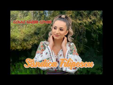 @SandicaFilipescu & Marian Magheru - Albina, albina  NEW HIT - Cea mai tare sarba 2022 Live (Cover)