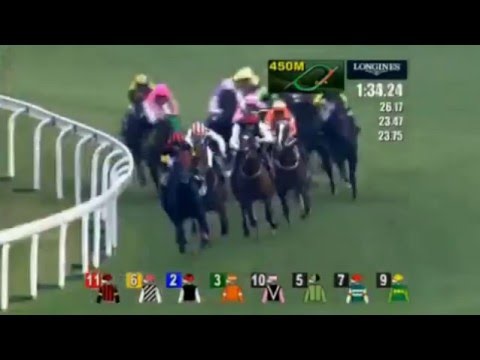 2015 香港カップ　エイシンヒカリ　ヌーヴォレコルト　ワンツーフィニッシュ！　LONGINES Hong Kong Cup (2000m)
