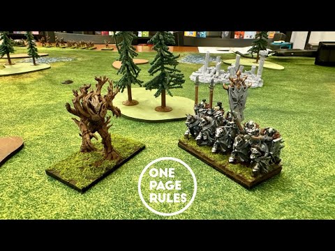 One Page Rules Age of Fantasy Regiments Battle Report Havoc vs Elves 20240907