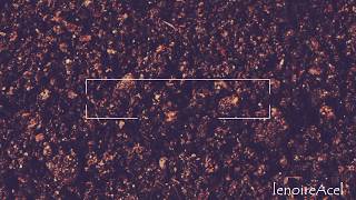 Southern culture on the skids - Undertaker