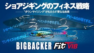 [Новая приманка jigging] Стратегическое сокращение размера BIG BACKER Fit Vibe — BIGBACKER Fit VIB-