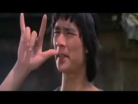 Los 5 maestros del shaolin.   película completa de kunfu en español