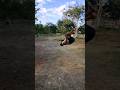 Raund Backflip Jump Stunt Video Shorts Reels Status Viralvideo Backflip Stuntvideo Reels