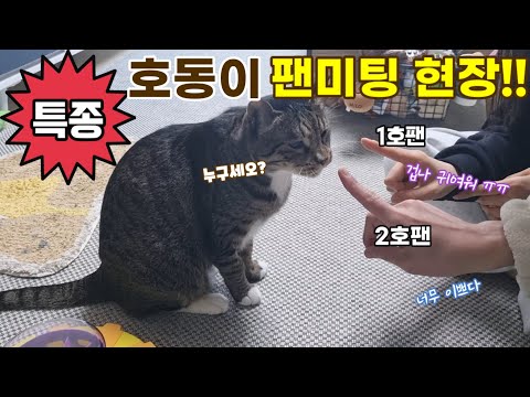 호동이의 팬미팅 현장!!