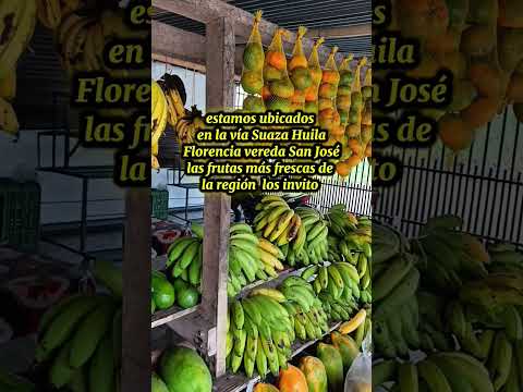 estamos ubicados  en la vía Suaza Huila  Florencia vereda San José