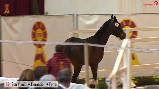 Video von Be my Dancer 4