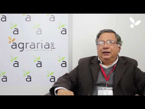 Entrevista a Ernesto Callo - Especialista en Agronegocios