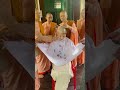 Beautiful Girls Headshave Nun 1