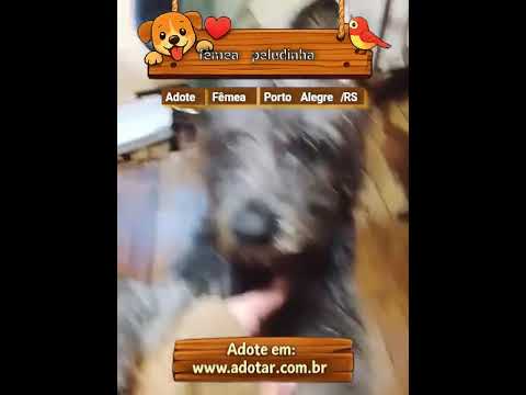 Vídeo de fêmea peludinha