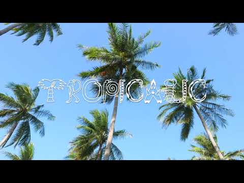 BUNT. - Crocodile Tears Ft. Jens Hult