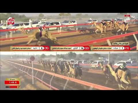 ش 21 (شواهين) لـ عوض علي عبدالله البلوشي 2:59:48 ، شارة العقود 2026/05/23 السوان