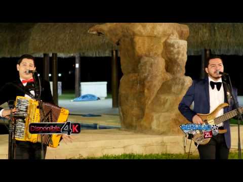 Los Nuevos Ilegales - El Tapon (En Vivo 2017)