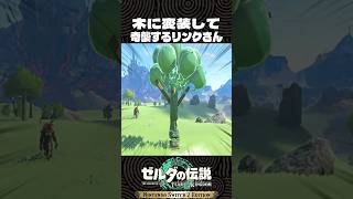 木に変装して奇襲するリンクさん【ゼルダの伝説 ティアキン】