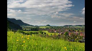 Topic: City vs. Countryside