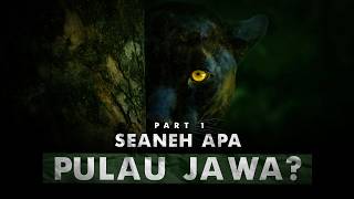 Download lagu Rumah Asli Sang Black Panther | Pulau Jawa – Part 1 mp3 Download lagu Rumah Asli Sang Black Panther | Pulau Jawa – Part 1 mp3