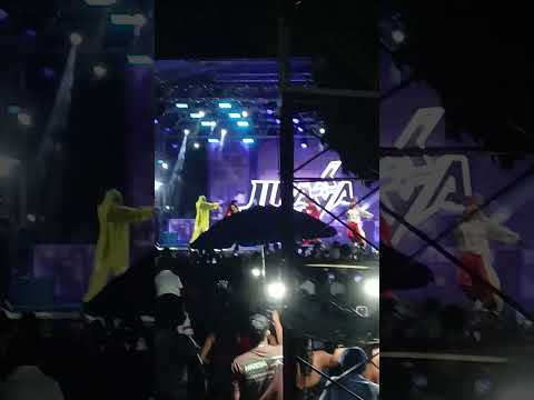 festa em lagoa da confusão