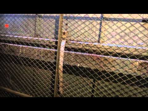 Running my first manually controlled freight elevator w/ HiFiAndElevators22.