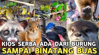 Download lagu KIOS BURUNG SERBA ADA || KICAUAN MASTERAN AVIARI BINATANG BUAS SEKALIPUN DI PASAR BURUNG PRAMUKA mp3 Download lagu KIOS BURUNG SERBA ADA || KICAUAN MASTERAN AVIARI BINATANG BUAS SEKALIPUN DI PASAR BURUNG PRAMUKA mp3