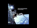 Shakedown - Wonder Why