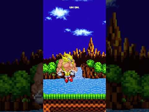 Sonic The Hedgehog Goes Berserk!