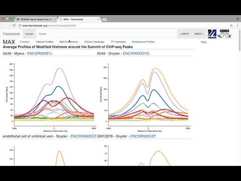 ENCODE SCREEN Demonstration - Michael Pucaro
