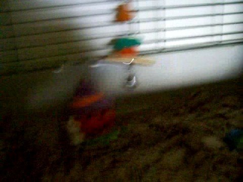 Pooky wishes ya, Happy Halloween!