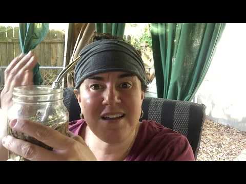 Yerba Mate Tea Tereré