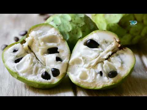 Ne Shtepine Tone, 9 Nentor 2017, Pjesa 1 - Graviola