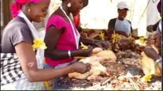 preview picture of video 'Chickens at the Beersheba Project, Senegal'