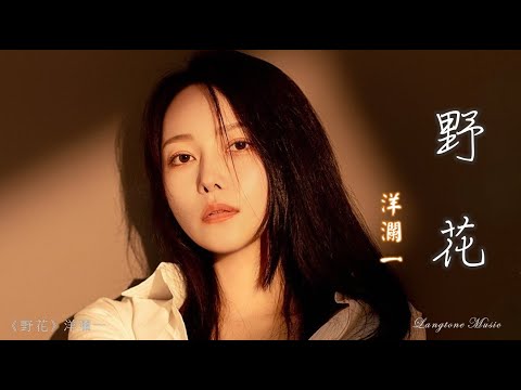 野花 Ye hua 洋瀾一 Yang Lan Yi #動態歌詞 Pinyin/Lyrics Music